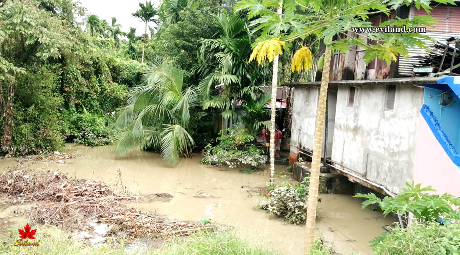 House in Flood water