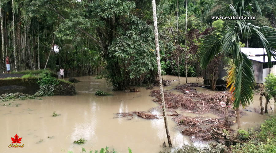 Village cover with flood