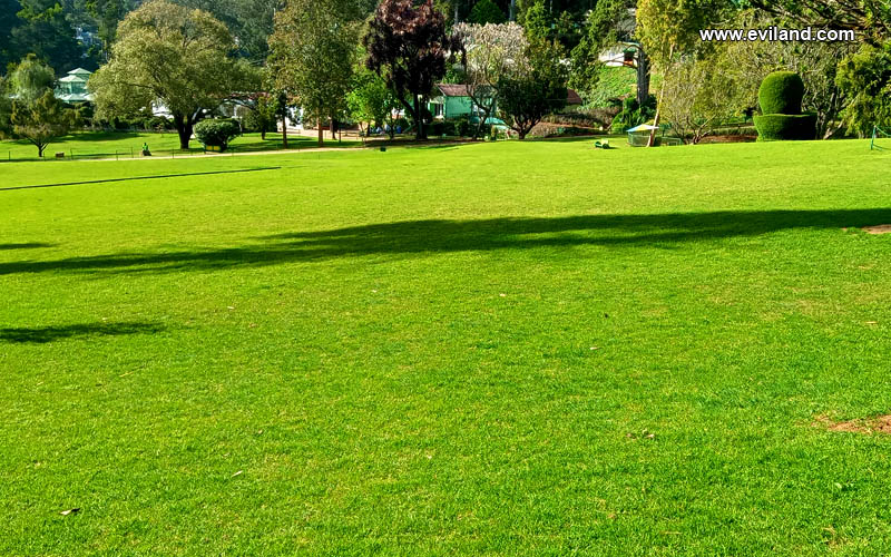 Botanical Garden Greenish Park Ooty