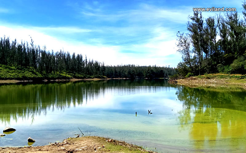 Beautiful Lake down of Pine forest in Ooty.
