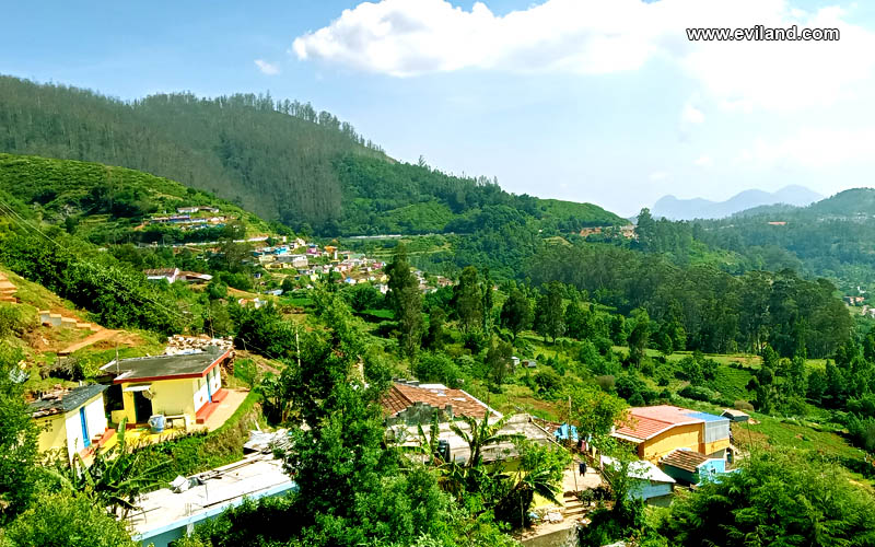 Houses on the Greenish Land