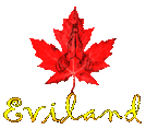 Eviland Media