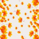 Web