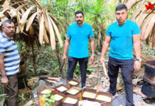 рддрд▓рд╛рд╢реА рдХреЗ рджреМрд░рд╛рди рдХрд▓рд╢реА рдХреЗ рдЬрдВрдЧрд▓ рдореЗрдВ 2 рдЬрдЧрд╣реЛрдВ рдкрд░ рдЬрдВрдЧрд▓реА рд╢рд░рд╛рдм рдмрдирд╛рдиреЗ рд╡рд╛рд▓реА 4 рднрдЯреНрдЯреА рдФрд░ рдХрдИ рд▓реАрдЯрд░ рд▓рд╣рди рдорд┐рд▓рд╛ред Kalshi Junglee Sharab