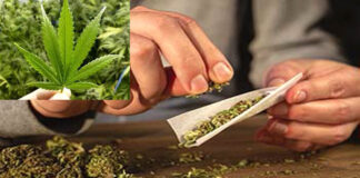 Ganja Seized