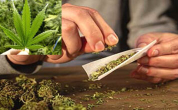 पी.एस पहाड़गांव टीम ने 213 ग्राम गांजा जब्त किया, डॉलीगंज में एक आरोपी गिरफ्तार Ganja Seized