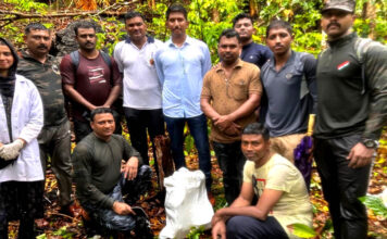 कटबर्ट बे में बड़े पैमाने पर जंगल तलाशी अभियान के परिणामस्वरूप सबसे बड़ी मेथम्फेटामाइन जब्ती हुई Meth