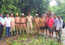 पानीघाट ब्रिज के 2 किमी दूर डिगलीपुर के तरफ एक पेड़ NH4 सड़क पर गिर गया। FireBridgade Mayabunder