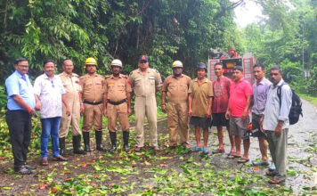 पानीघाट ब्रिज के 2 किमी दूर डिगलीपुर के तरफ एक पेड़ NH4 सड़क पर गिर गया। FireBridgade Mayabunder