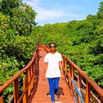 18029752268736516_eviland5