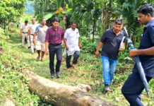 उपायुक्त उत्तर और मध्य अंडमान ने GP हरिनगर के विभिन्न स्थलों का दौरा किया harinagar