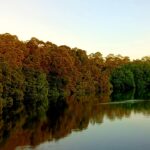 18080576252161279_eviland5