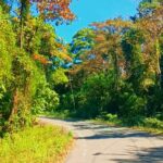 18089342083817300_eviland5