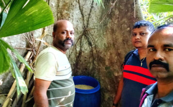 कालीघाट पुलिस ने तालबागान जंगल में अवैध शराब बनाने के अड्डे का भंडाफोड़ किया। Illegal Lehan