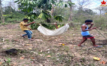 पुलिस ने कालीघाट के जंगल से लापता महिला का सफलतापूर्वक पता लगाया। forest missing