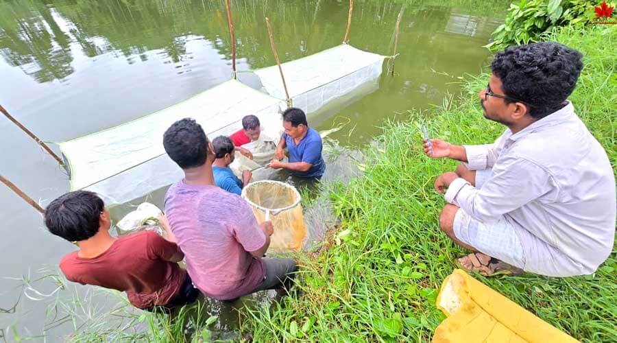 Fishing