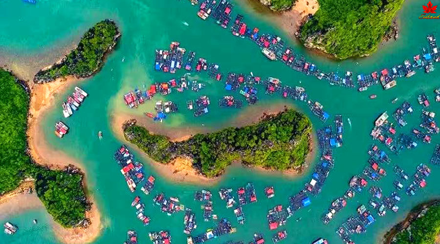 Majuli Island