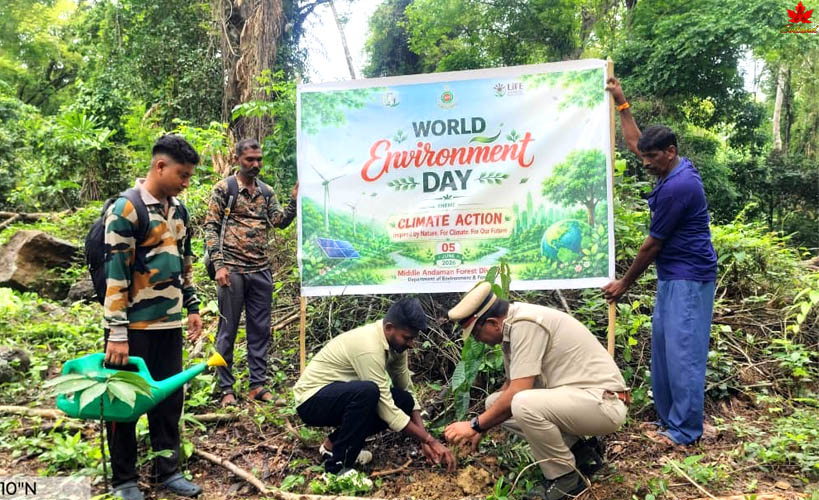 environment Day