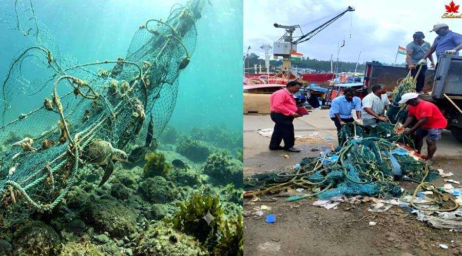 Fishing Department Remove Ghost Net