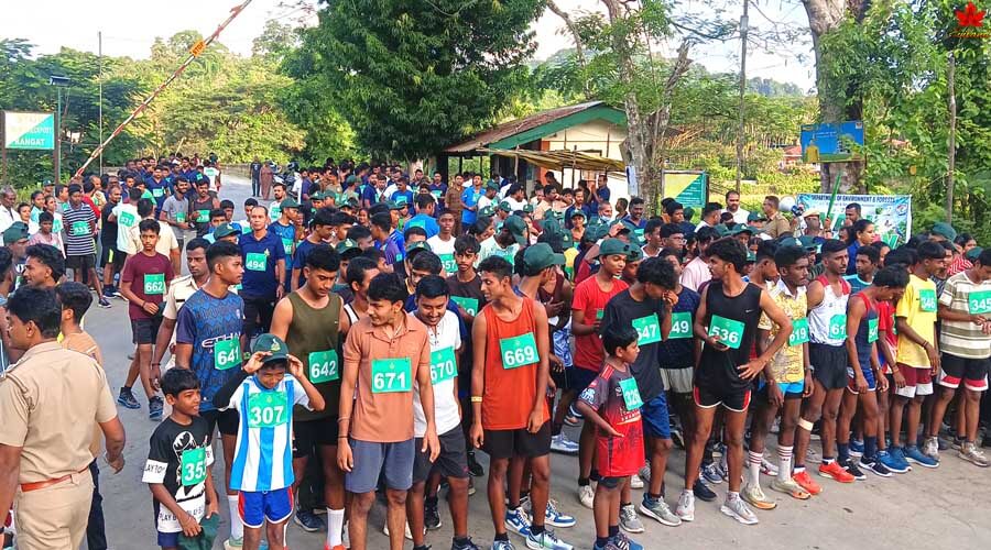 Forest Marathon