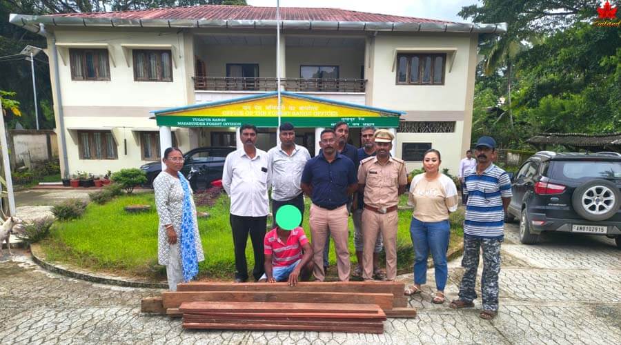 Forest Department Caught Illegal Timber