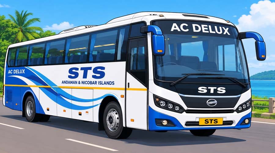 STS Bus